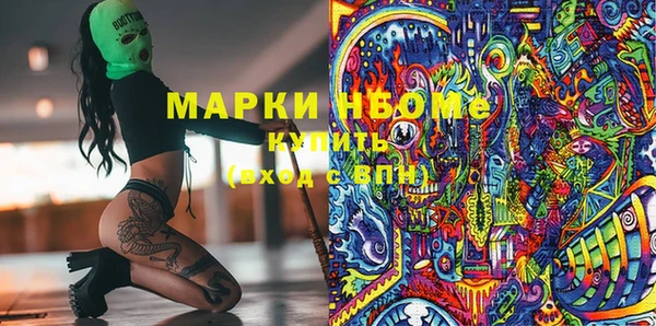 прущие грибы Аркадак