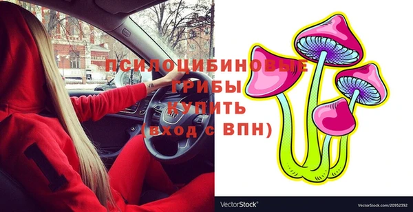 метамфетамин Алексеевка